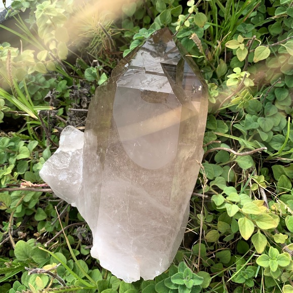 SOLD🔴🔴🔴MASSIVE! 2.6 Lb Skeletal Quartz Point - Picture 2 of 8